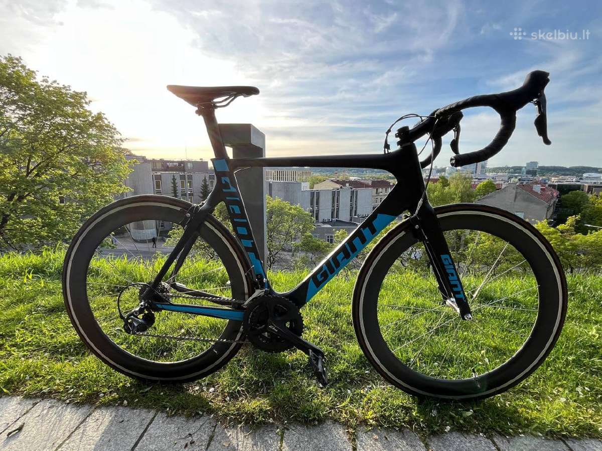 Dviratis Giant Propel Carbon
