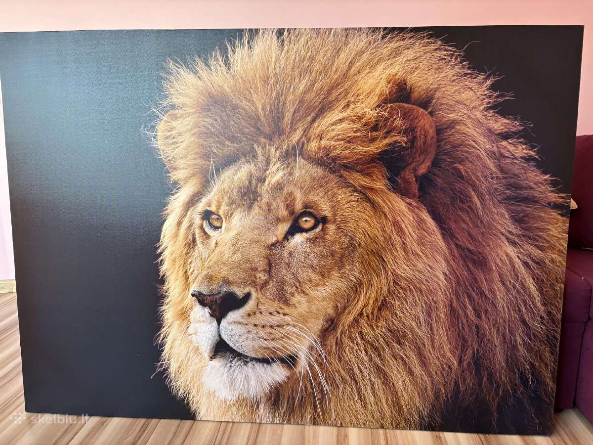 Paveikslas Liūtas 1x1,4m