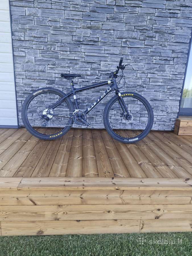 MTB dviratis "carrera"
