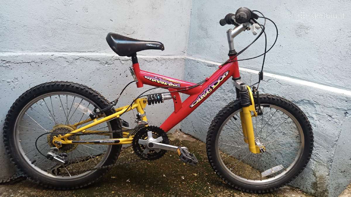 Vaikiškas dviratis 20" ratai
