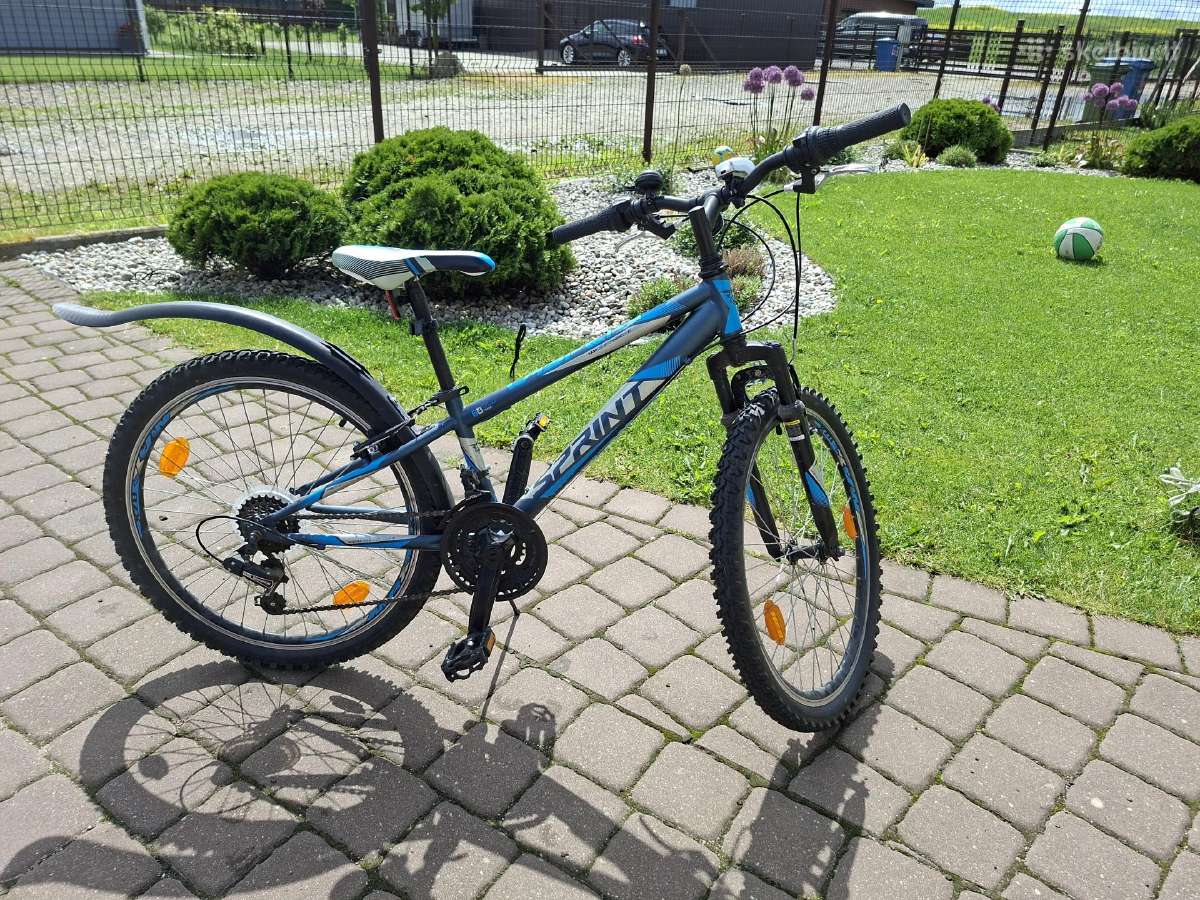 Sprint Casper 24" dviratis 9-12 metų amžiaus vaiku
