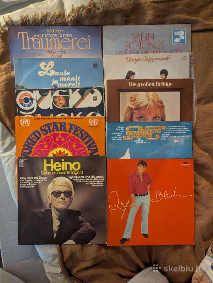 Seni vinylai