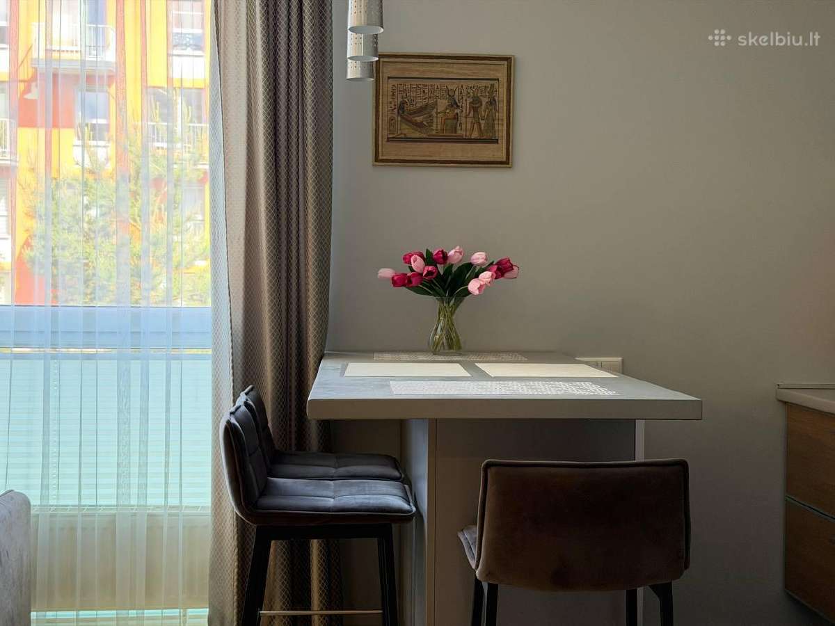 Miško apartamentai- trumpalaikė nuoma Klaipėda - nuotraukos Nr. 7
