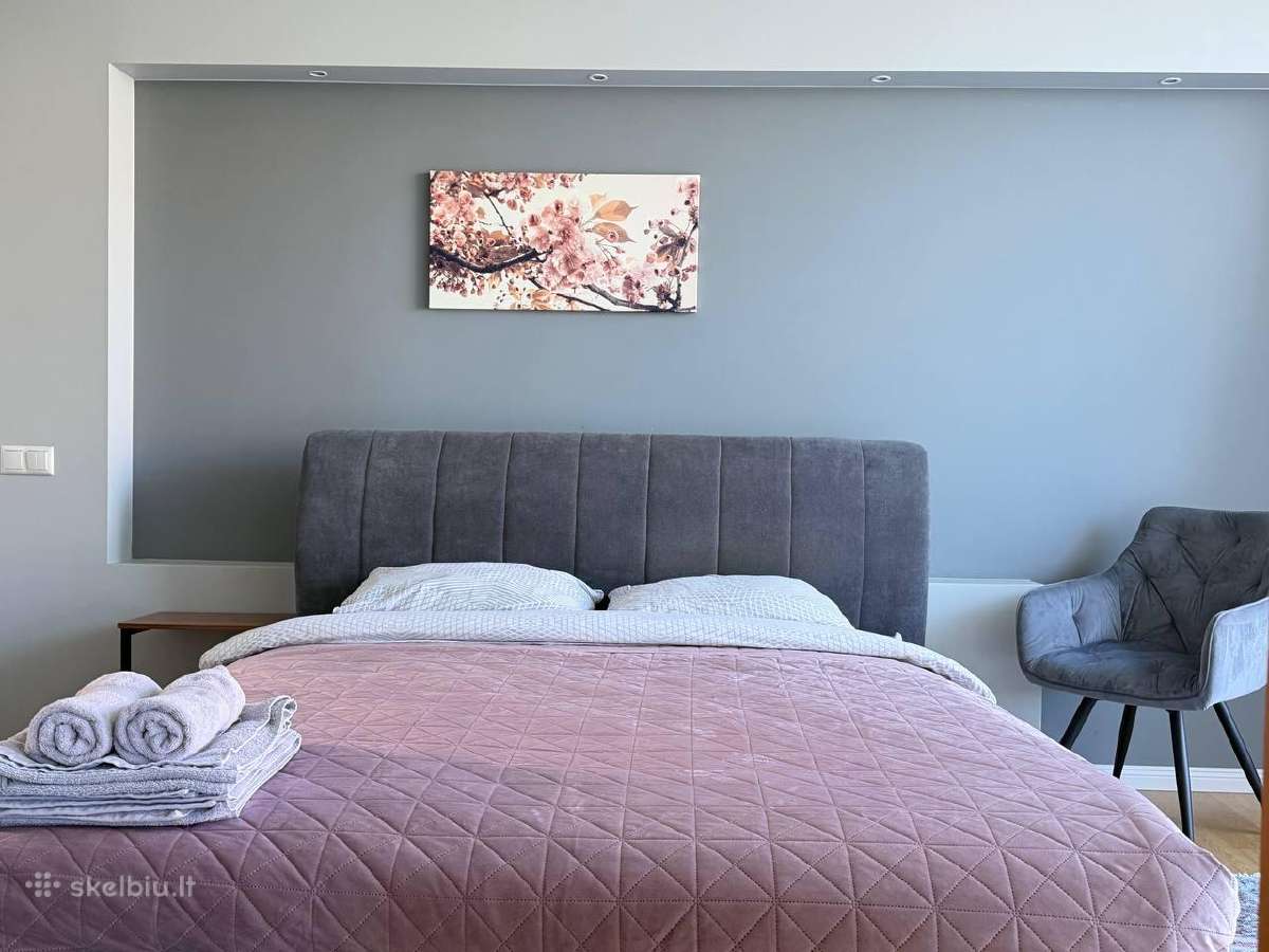 Miško apartamentai- trumpalaikė nuoma Klaipėda - nuotraukos Nr. 3