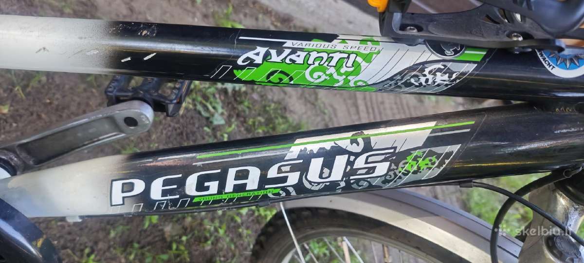 Dviratis Pegasus Avanti GT - nuotraukos Nr. 5