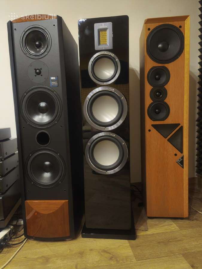 Aukštos klasės akustika Dynaudio Heco T+a Alr Cant - nuotraukos Nr. 2