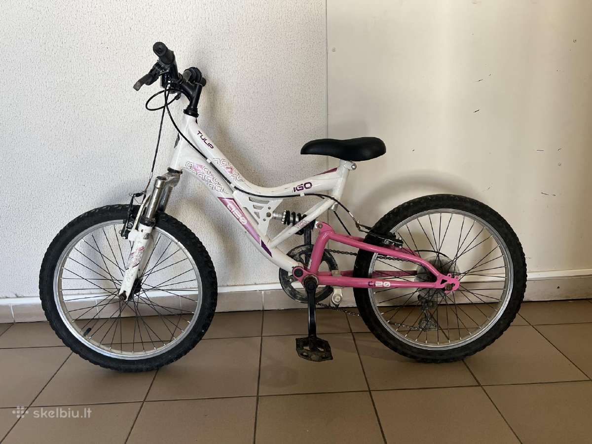 Vaikiškas dviratis 20 colių