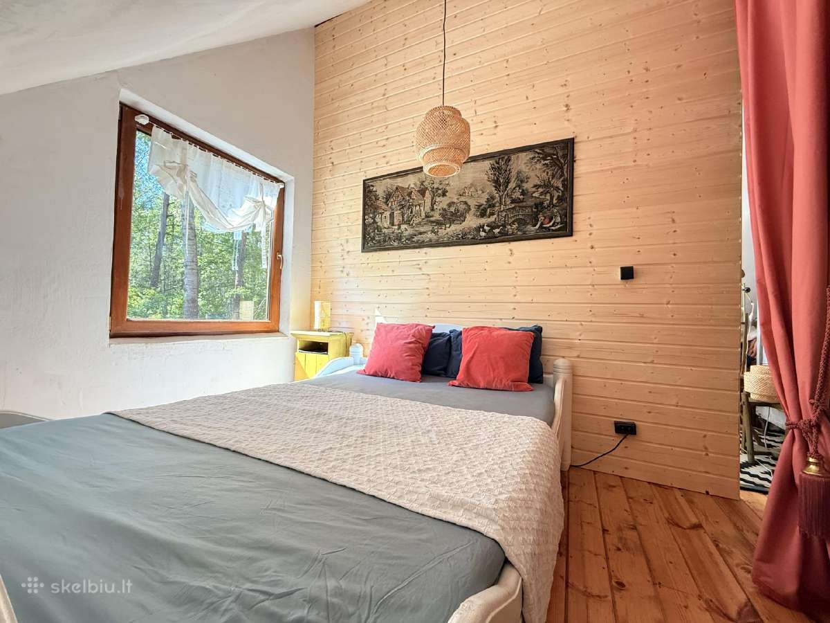 Vienkiemis miške, nuosava ežero pakrantė 5-7 žm. - nuotraukos Nr. 31