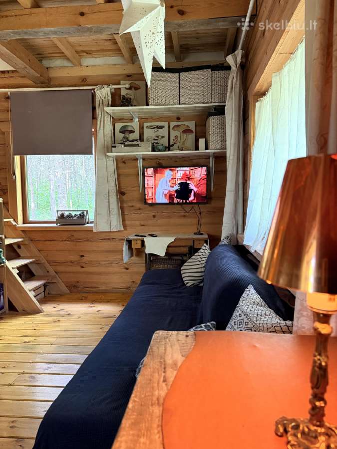 Vienkiemis miške, nuosava ežero pakrantė 5-7 žm. - nuotraukos Nr. 35
