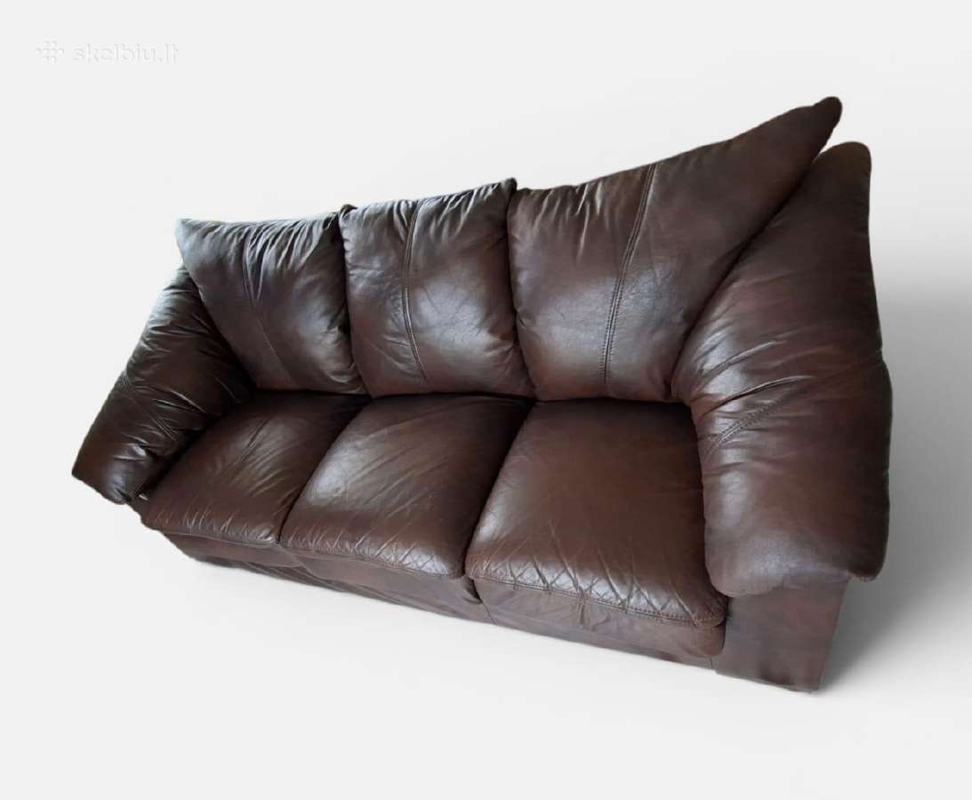 Odinė sofa