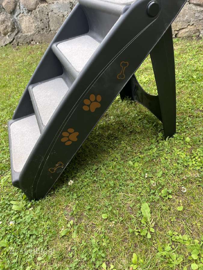Laiptukai gyvūnui