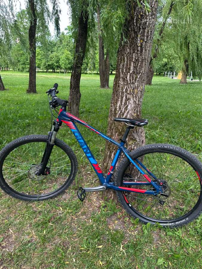 Giant talon 29