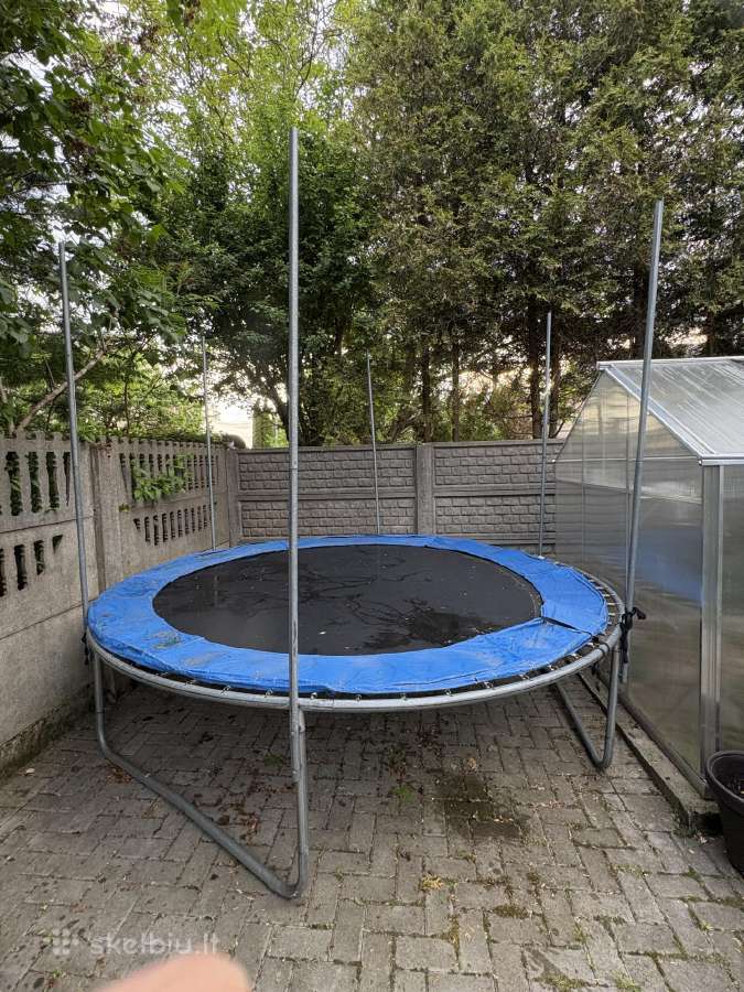 Batutas
