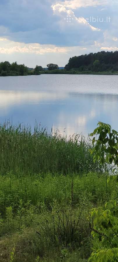 Sodo namelis su sklypu - nuotraukos Nr. 15