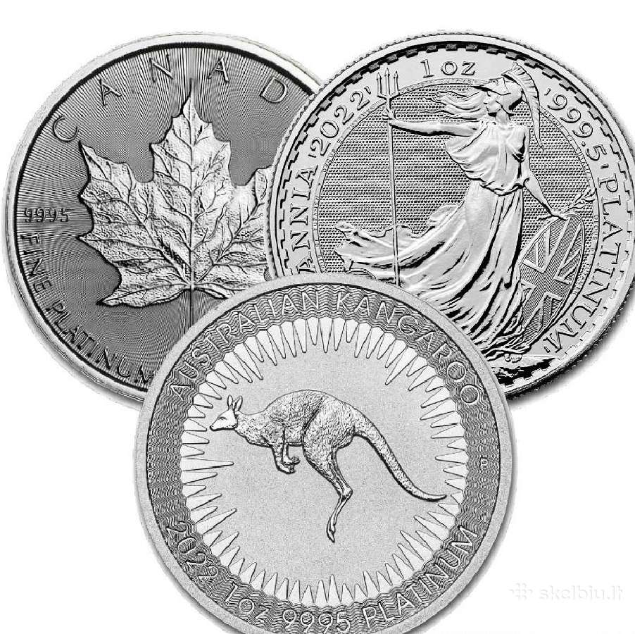Perku investicinę platiną 999 prabos