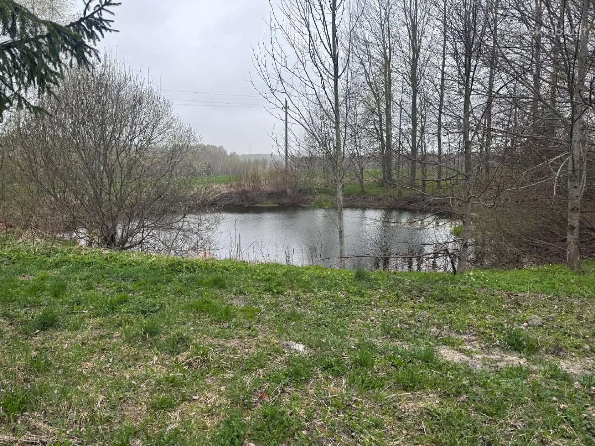 Parduodama Sodyba Su 2,3 Ha Žemės Kelmės Rajone - nuotraukos Nr. 8