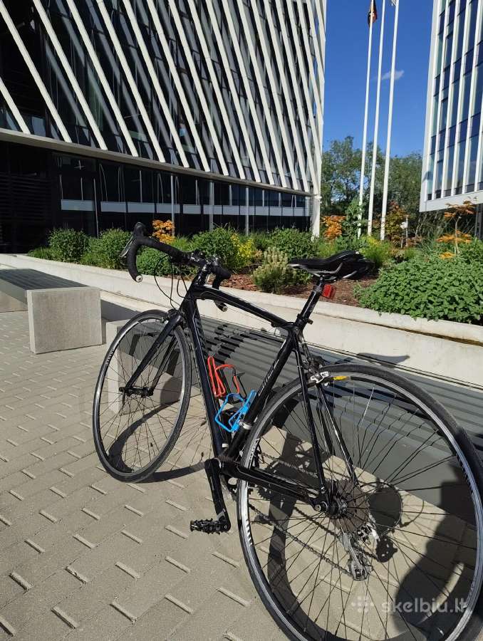 Dviratis Specialized Allez
