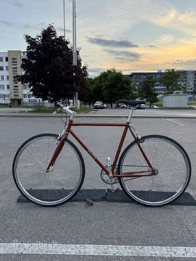 Single speed dviratis 55"