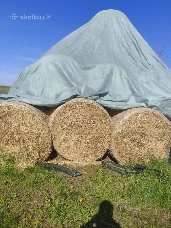 Šiaudai