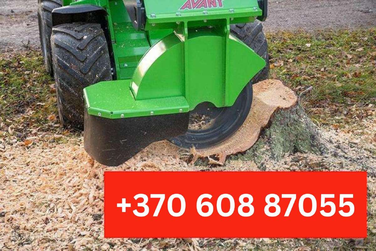 Medžių pjovimas, genėjimas / Aplinkos tvarkymas - nuotraukos Nr. 11
