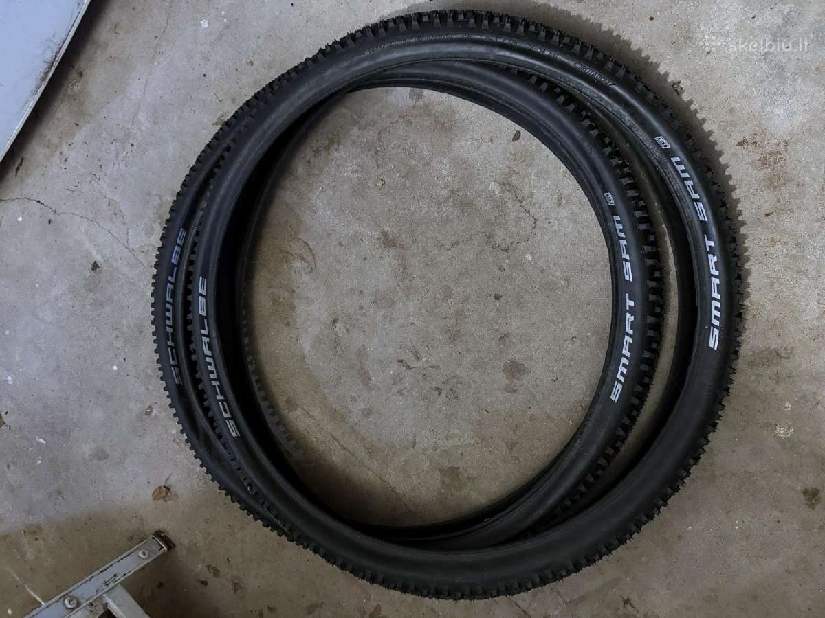 Schwalbe 29
