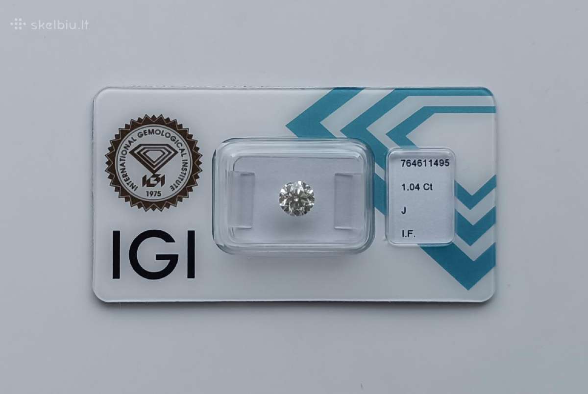Ypatingo skaidrumo natūralus 1.04 ct briliantas