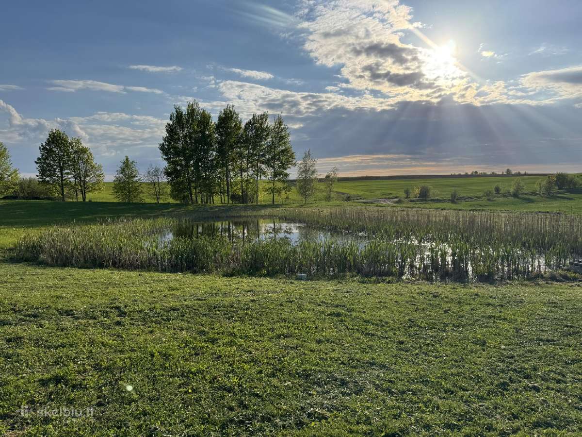 Sodybų, sklypų tvarkymas, paruošimas pardavimui - nuotraukos Nr. 4
