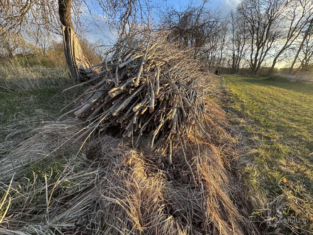 Sodybų, sklypų tvarkymas, paruošimas pardavimui - nuotraukos Nr. 6