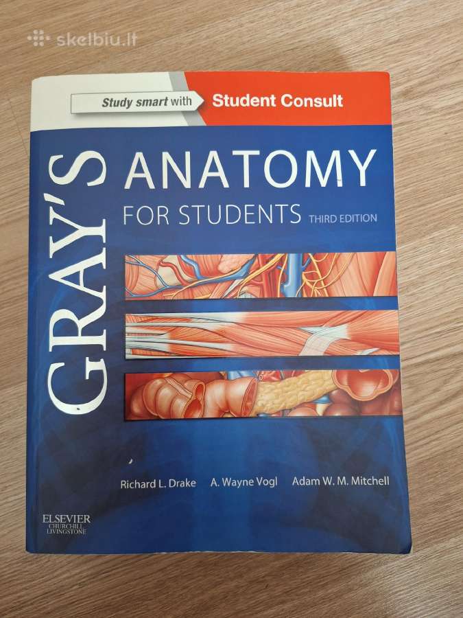 Gray's anatomy