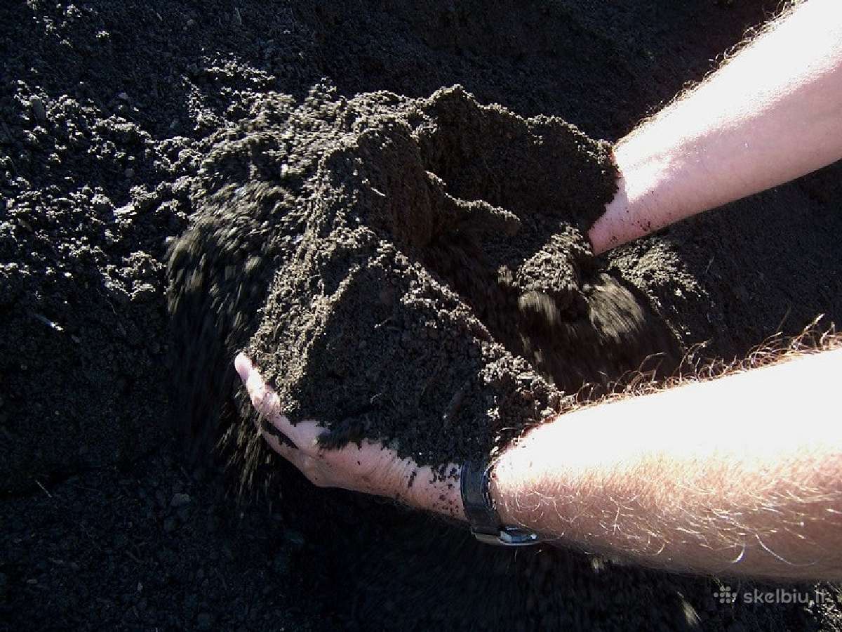 Parduodame žvyrą,smėlį,skaldą,atsijas Klaipedo r. - nuotraukos Nr. 6