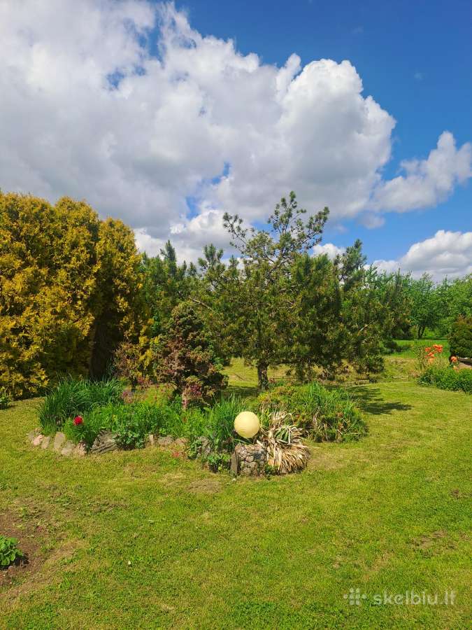2 sodo sklypai su nameliu ir kūdra SB Obelinė - nuotraukos Nr. 19