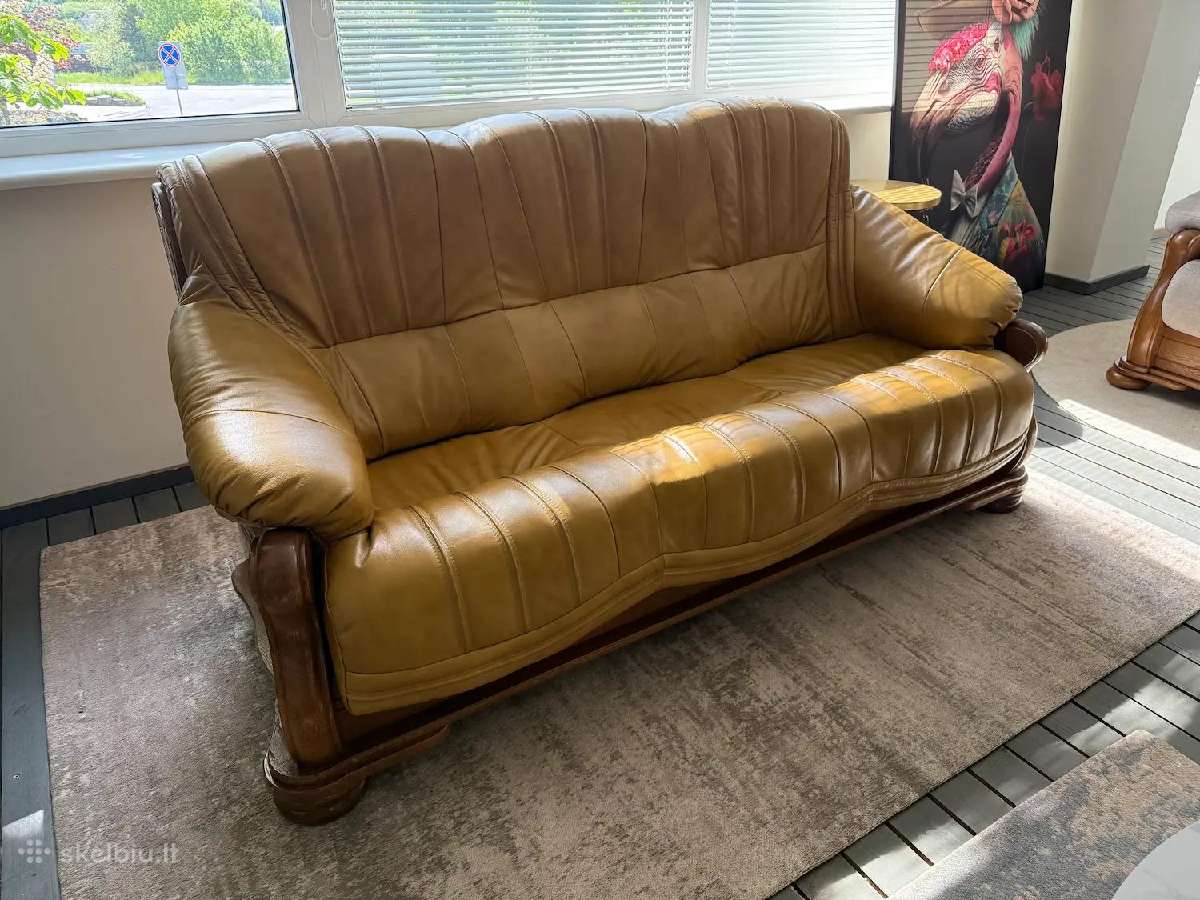 Odinė sofa