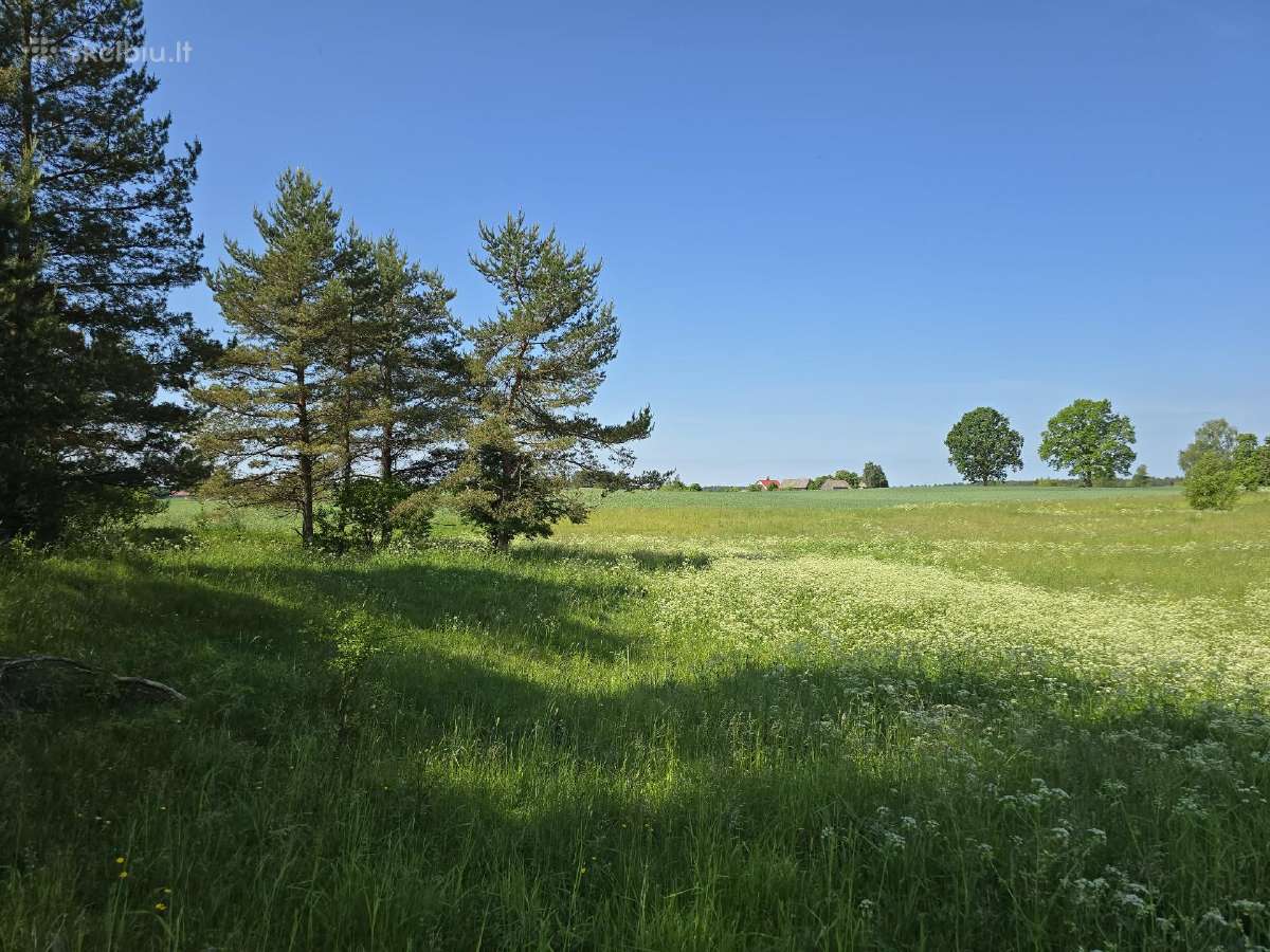 Parduodamas žemės sklypas/sodyba