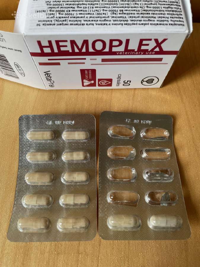 Hemoplex pašaro papildas nuo anemijos - nuotraukos Nr. 2