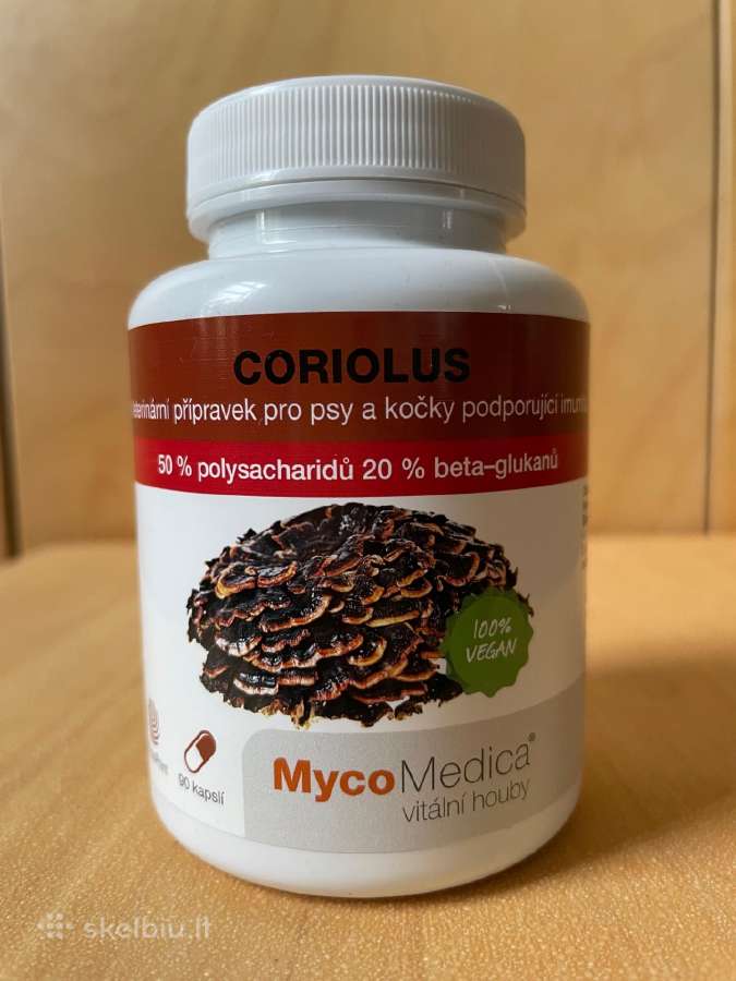 Vaistinio grybo Coriolus kapsulės