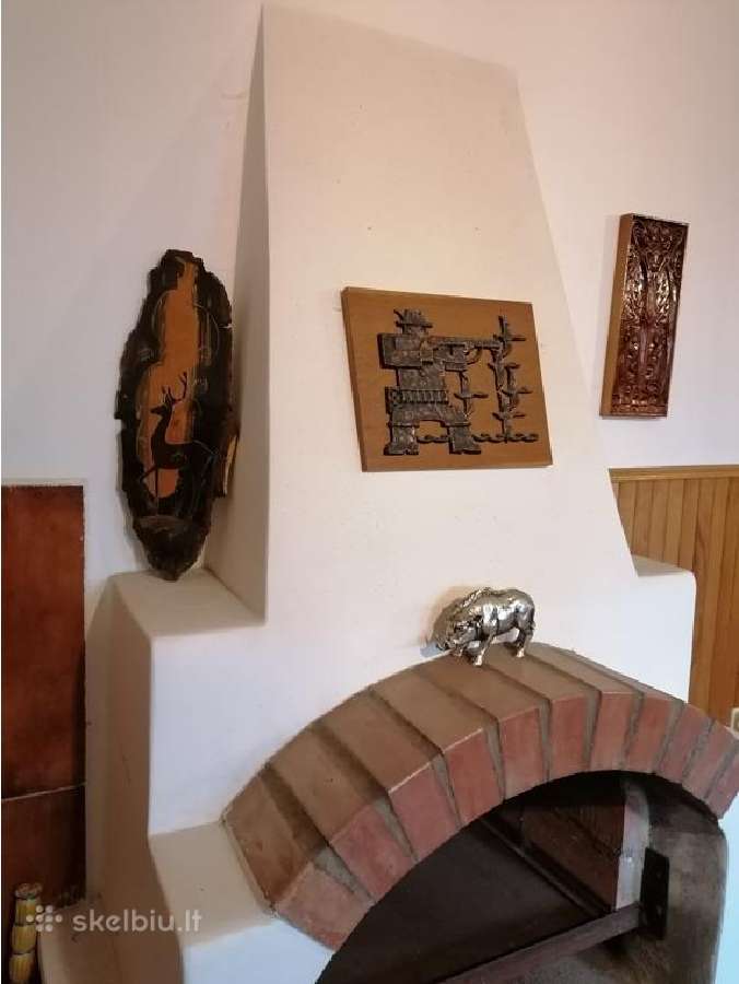 Elnio galvos iškamša, ragai, trofėjai. dekoracijos - nuotraukos Nr. 6