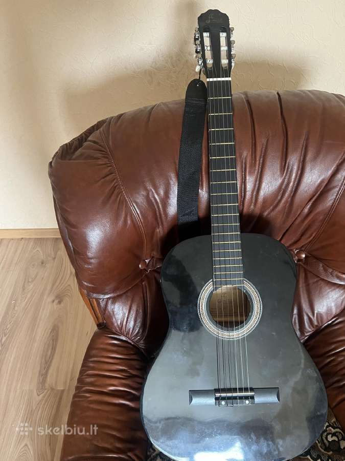 Guitar