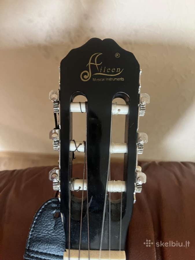 Guitar - nuotraukos Nr. 2