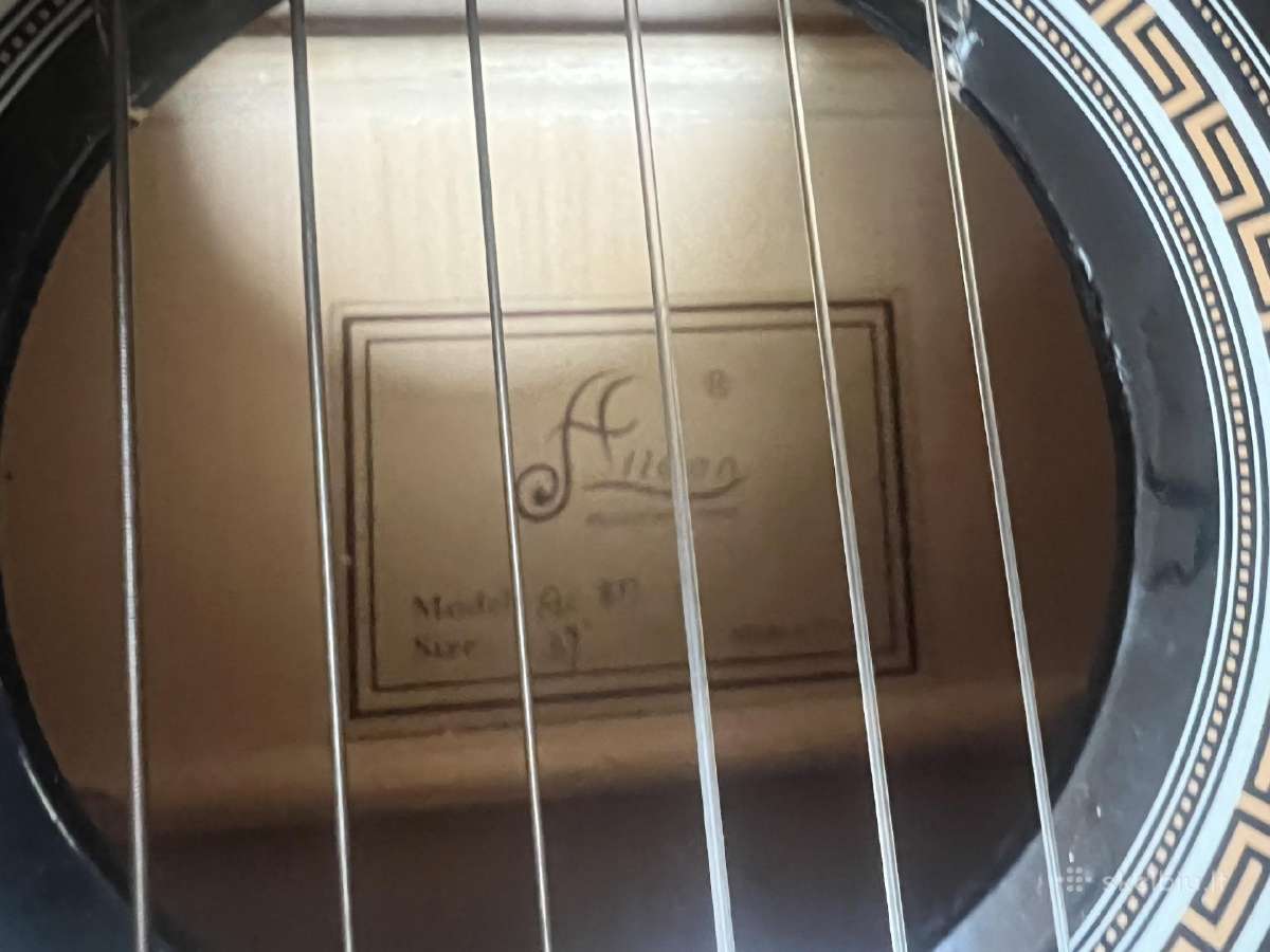 Guitar - nuotraukos Nr. 3