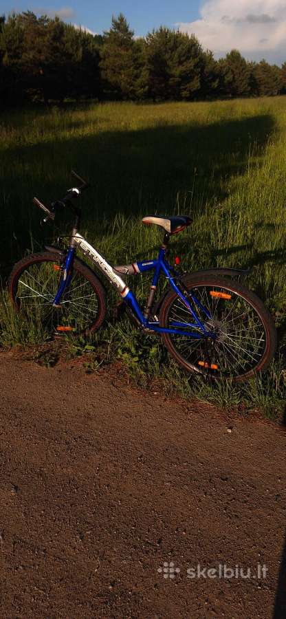 Dviratis Stinger Twin 1500