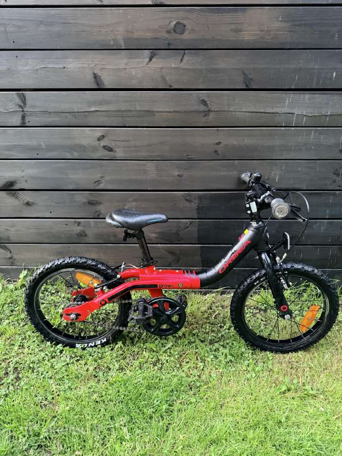 Orbea grow