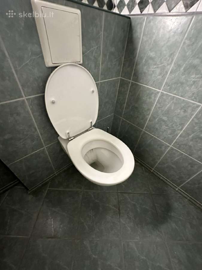 Klozetai, praustuvai, dušo kabinos