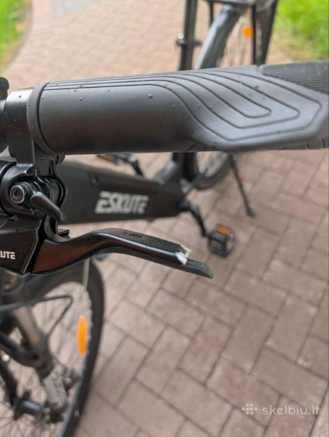 Eskute polluno plus - nuotraukos Nr. 5