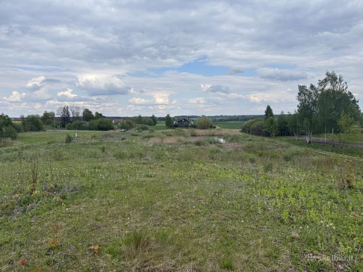 Parduodami 3 sklypai-namu valda sale Alytaus - nuotraukos Nr. 3