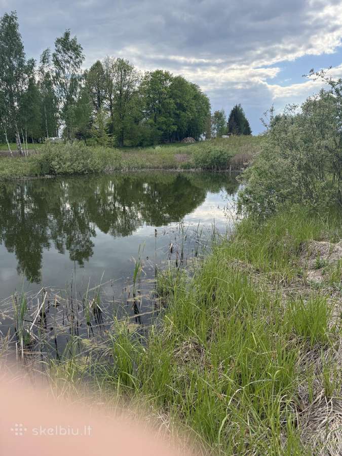 Parduodami 3 sklypai-namu valda sale Alytaus - nuotraukos Nr. 5