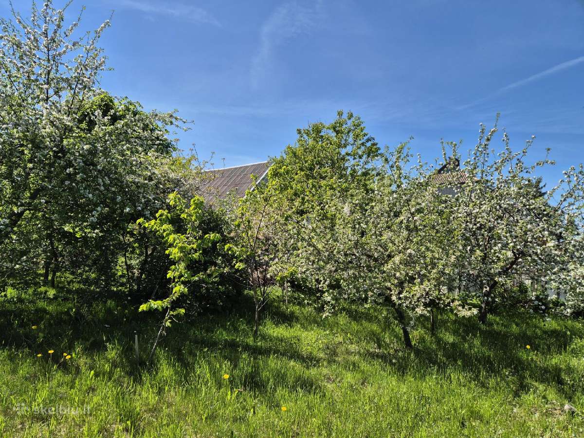Namas Plungėje su 15 a sklypu - nuotraukos Nr. 7