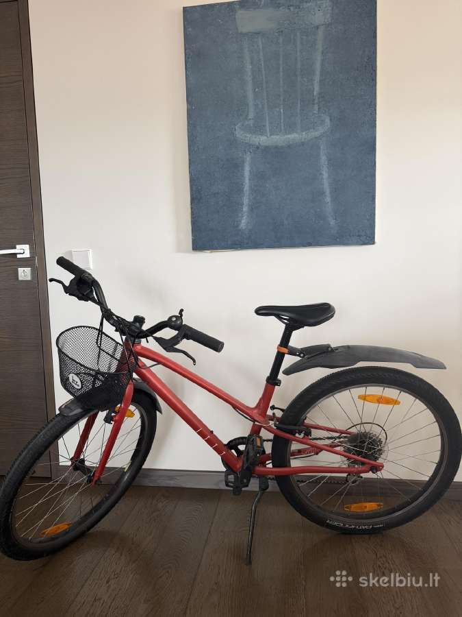 Specialized Jett 24