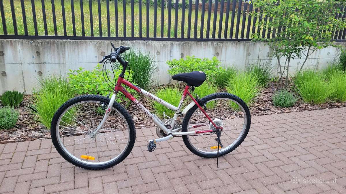 Parduodu dvirati 65 eur.