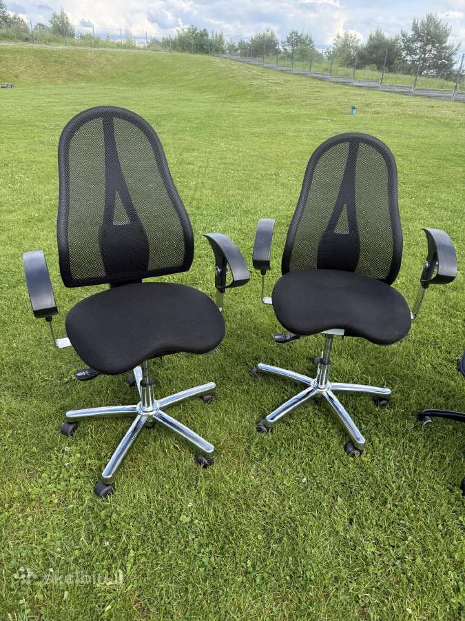 Ergonomines biuro kedes