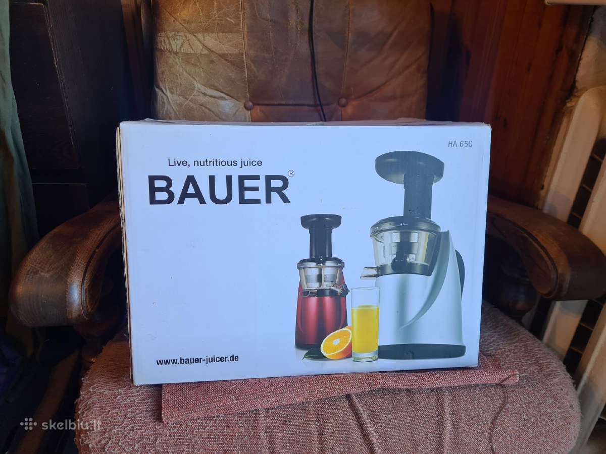 Sulciaspaude Bauer letaeige